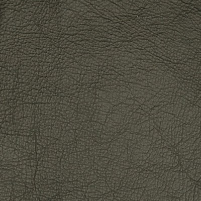Greenhouse Fabrics A7755 Smokey Pearl
