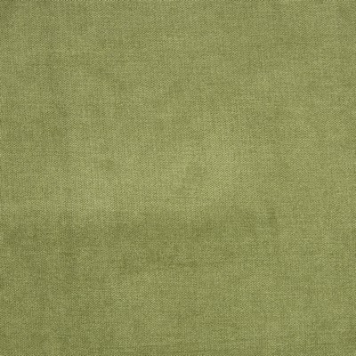 Greenhouse Fabrics B1272 FERN
