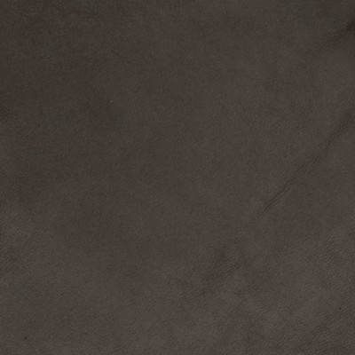 Greenhouse Fabrics B5108 CHOCOLATE