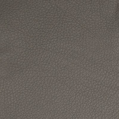 Greenhouse Fabrics B5113 PEWTER