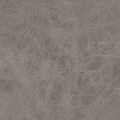 Greenhouse Fabrics B5116 STORMY