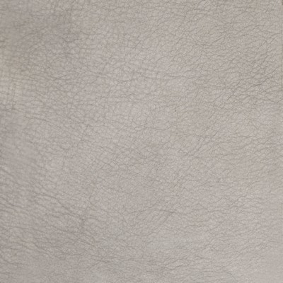 Greenhouse Fabrics B5117 PEWTER