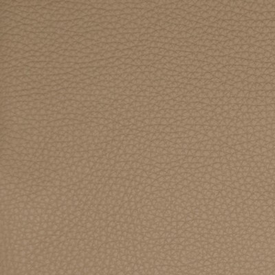 Greenhouse Fabrics B5125 MUSHROOM