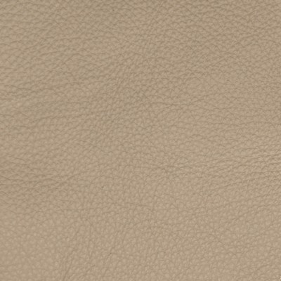 Greenhouse Fabrics B5127 GREY TAUPE