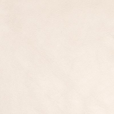 Greenhouse Fabrics B5130 CHAMPAGNE