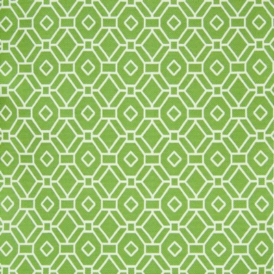 Greenhouse Fabrics B7293 ISLAND GREEN