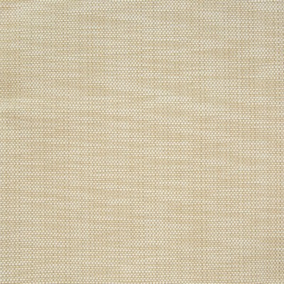 Greenhouse Fabrics B7316 RAFFIA