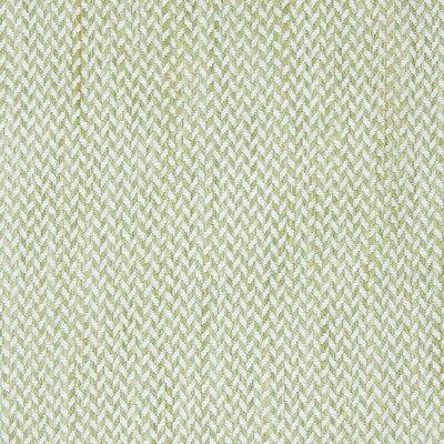 Greenhouse Fabrics B7667 BOTTLE GLASS