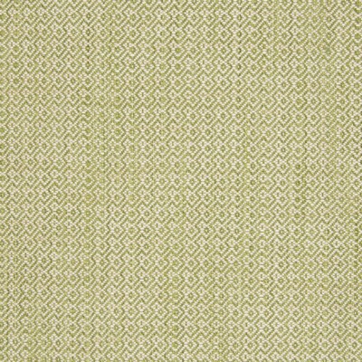 Greenhouse Fabrics B7669 SPROUT