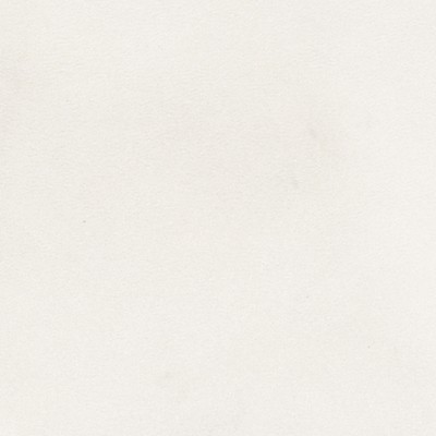 Greenhouse Fabrics F3841 White