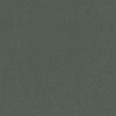 Greenhouse Fabrics F3844 Zinc