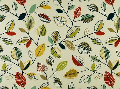 Covington Carson 150 MARDI GRAS