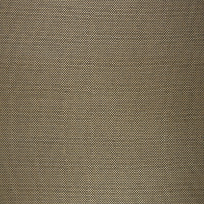 RM Coco Common Ground Canyon