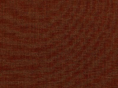 Covington Derby 329 SALSA