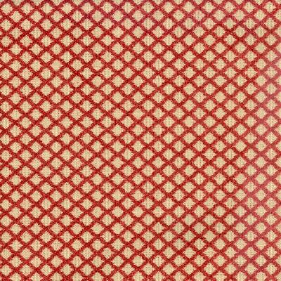 Magnolia Fabrics  Gopala Persimmon