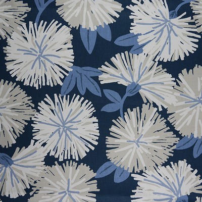 RM Coco Hiatus Chambray