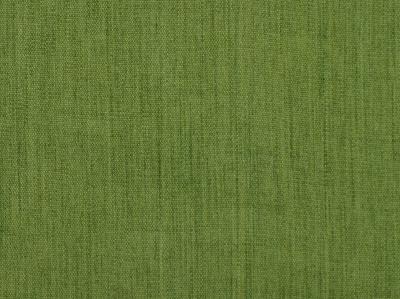 Covington Ibiza 228 FERN