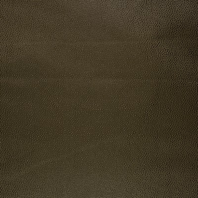 RM Coco On The Dot Bison