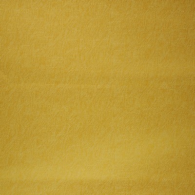 RM Coco Spokane Daffodil