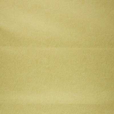 RM Coco Spokane Dandelion