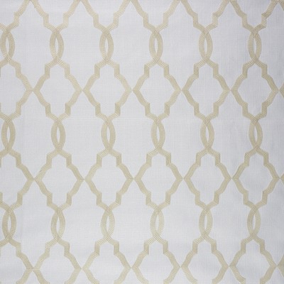 RM Coco Wellness Lentil