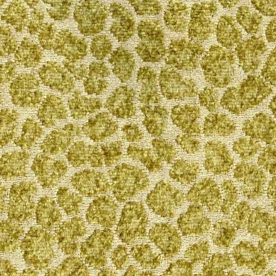 RM Coco ANIMAL INSTINCT PARROT