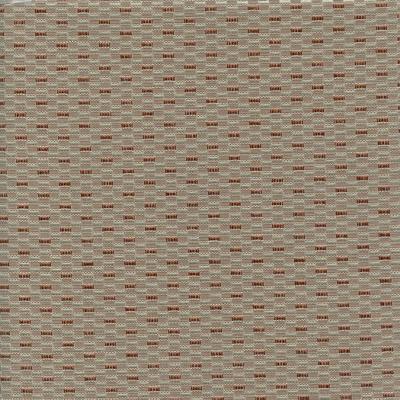 RM Coco CALCULUS SPA