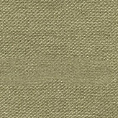 RM Coco DELMONICO TOPIARY