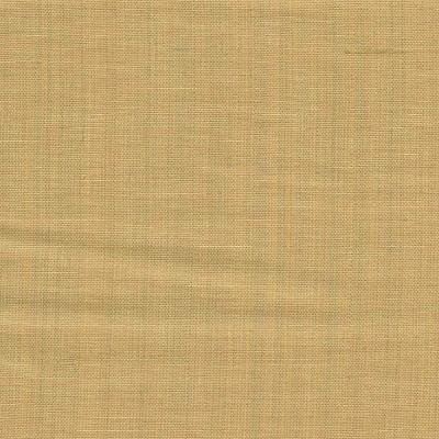 RM Coco ILLUSTROUS SUN