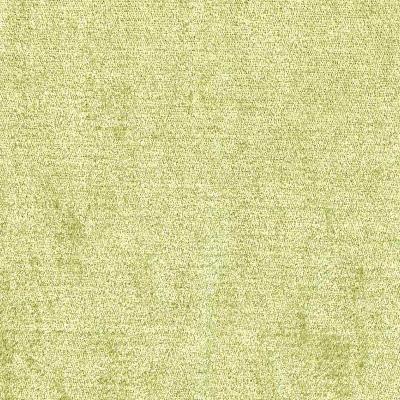 RM Coco SOVEREIGN PARROT