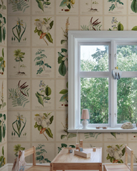 Herbarium Scalamandre Wallcovering