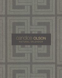 Candice Olson Natural Splendor York Wallcoverings