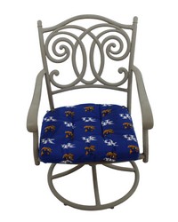 Kentucky Wildcats D Cushion 20 in  x 20 in  by   