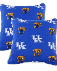 Kentucky Wildcats Outdoor Decorative Pillow Pair  2 16 in  x 16 in  Pillows by   