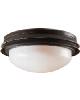 Hunter Fan Co Marine II Outdoor Light Kit New Bronze