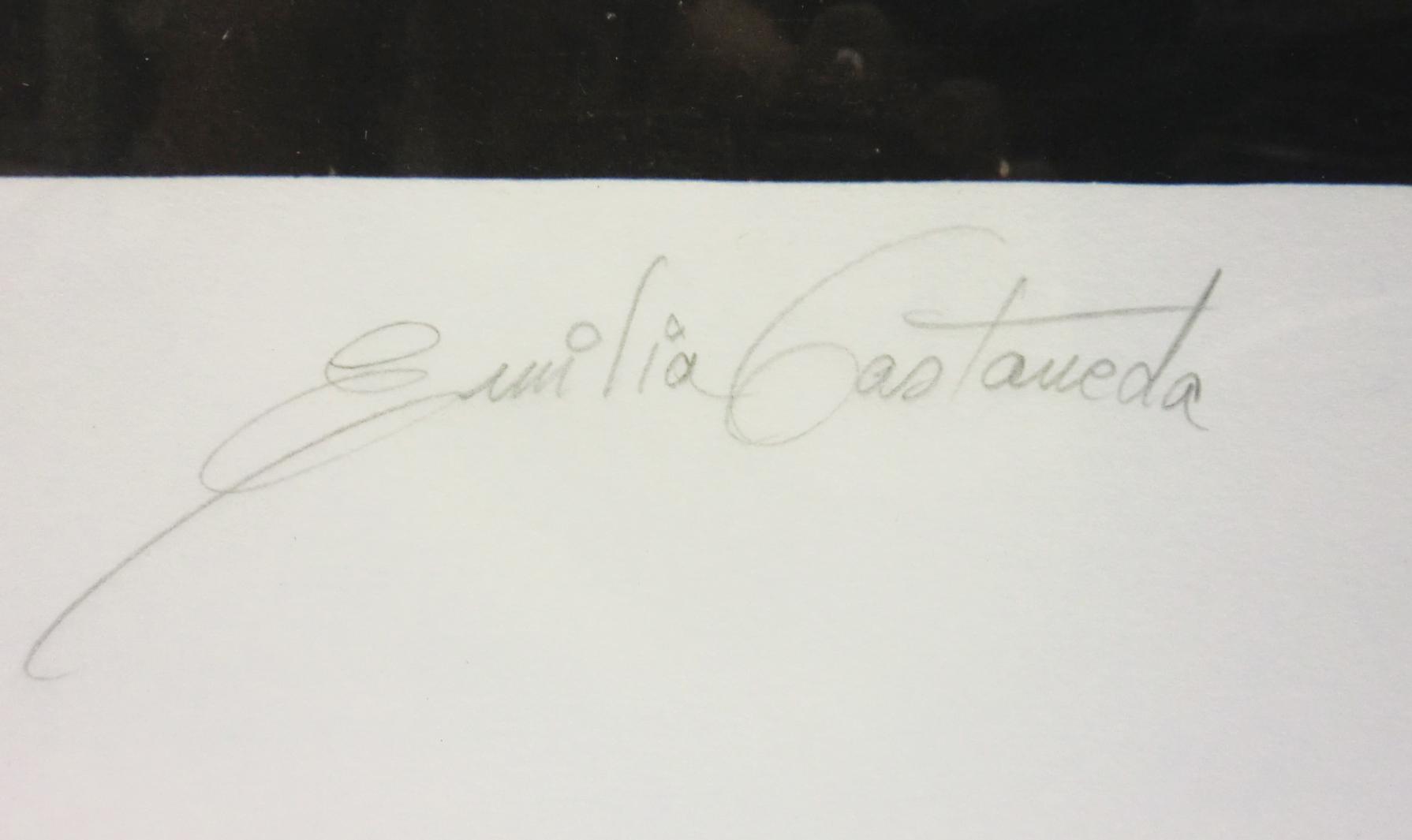 Title Unknown Original Emilia Castaneda Signed Lithograph Art