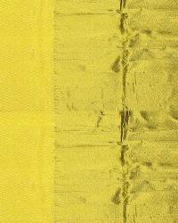 Rio Delaware  by  Catania Silks 