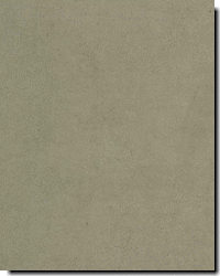 Ultrasuede 1123 1123 Willow by   