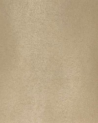 Microsuede Parchment by   