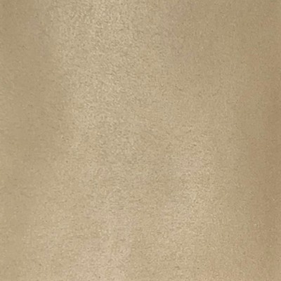 Lady Ann Fabrics Microsuede Parchment in lady ann microsuede Beige Multipurpose Polyester Solid Beige  