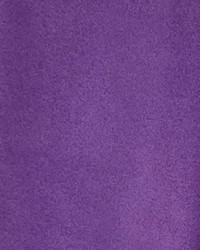 Microsuede Purple by   