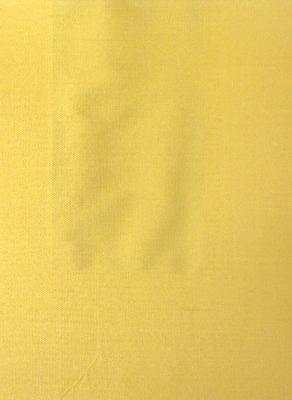 Libas International 214C 144 Satara in Dupioni Solids and Basket Weave Yellow Silk Dupioni Silk  Solid Silk   Fabric
