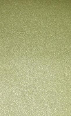 Norbar Valor Aloe Vintage Green Upholstery Polyvinyl;  Blend Vintage Faux Leather Solid Faux Leather Fabric