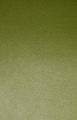 Norbar Valor Avocado Vintage Green Upholstery Polyvinyl;  Blend Vintage Faux Leather Solid Faux Leather Fabric