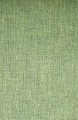 Norbar Vanguard Clover Vintage Green Upholstery Polyvinyl;  Blend Vintage Faux Leather Solid Faux Leather Fabric