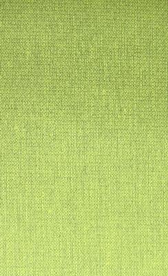 Norbar Vanguard Grasshopper Vintage Green Upholstery Polyvinyl;  Blend Vintage Faux Leather Solid Faux Leather Fabric