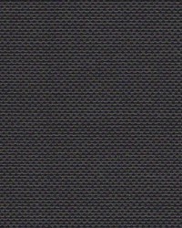 Phifer Sheerweave 2000 Charcoal Fabric