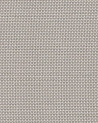 Phifer Sheerweave 2100 Bone Platinum Fabric