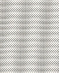 Phifer Sheerweave Style 2100 White Platinum P05