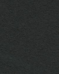 7250R Light Filtering RL8 Raven 118 Inch Wide by   